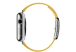 Apple Watch (MMFG2) - 38 мм, нержавеющая сталь, ремешок цвета «весенняя мимоза» с современной пряжкой— фото №1