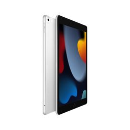 2021 Apple iPad 10.2″ (256GB, Wi-Fi + Cellular, серебристый)— фото №1