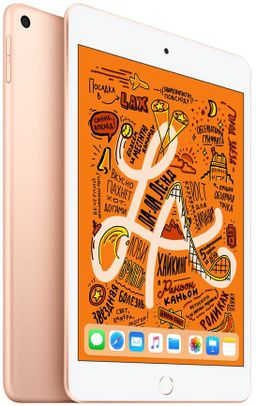 2019 Apple iPad mini 7,9″ (256Gb, Wi-Fi + сотовая связь, золотистый)— фото №1