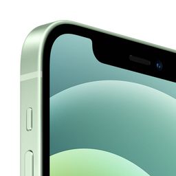 Apple iPhone 12 mini 256GB, зеленый— фото №1